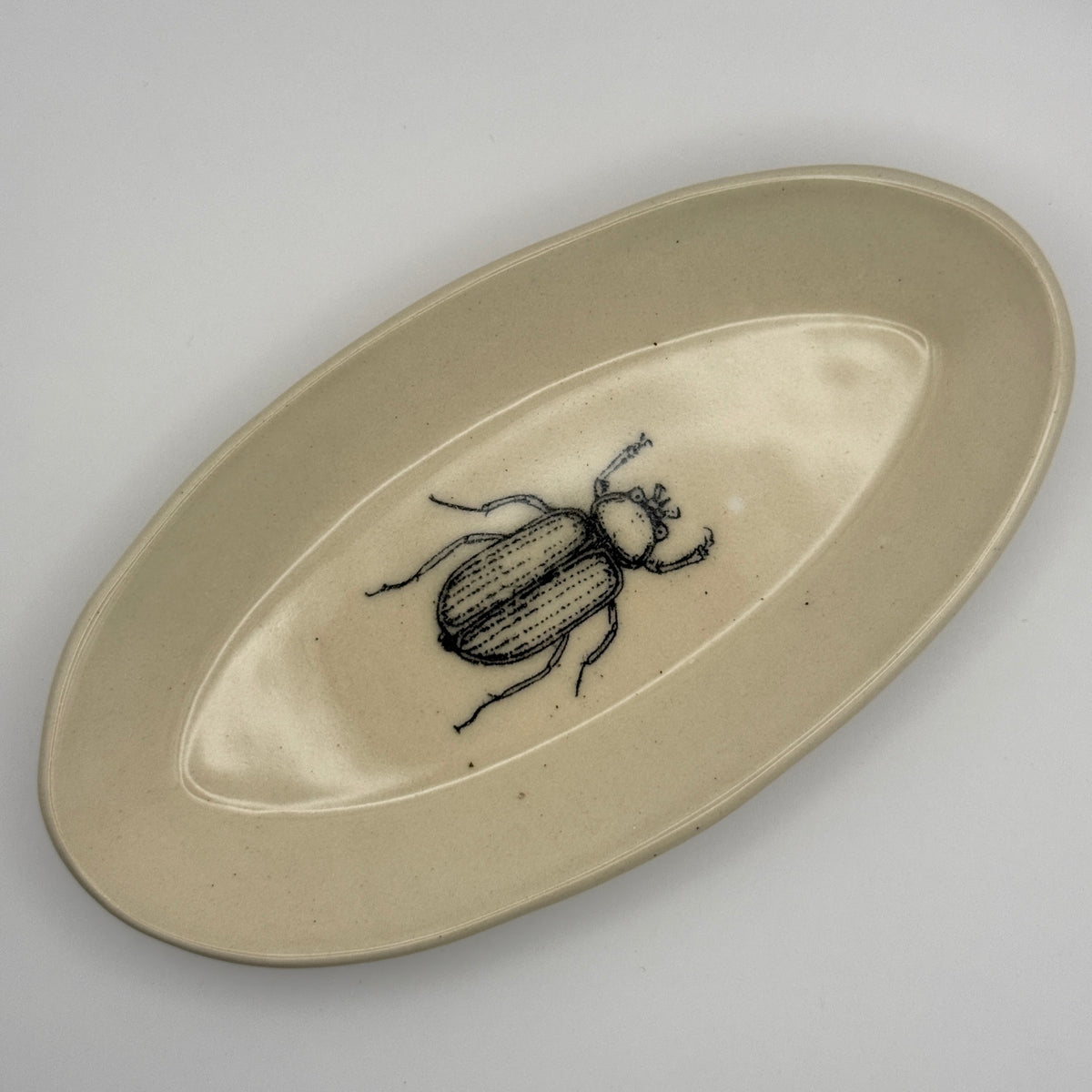 Bug Ring Dish