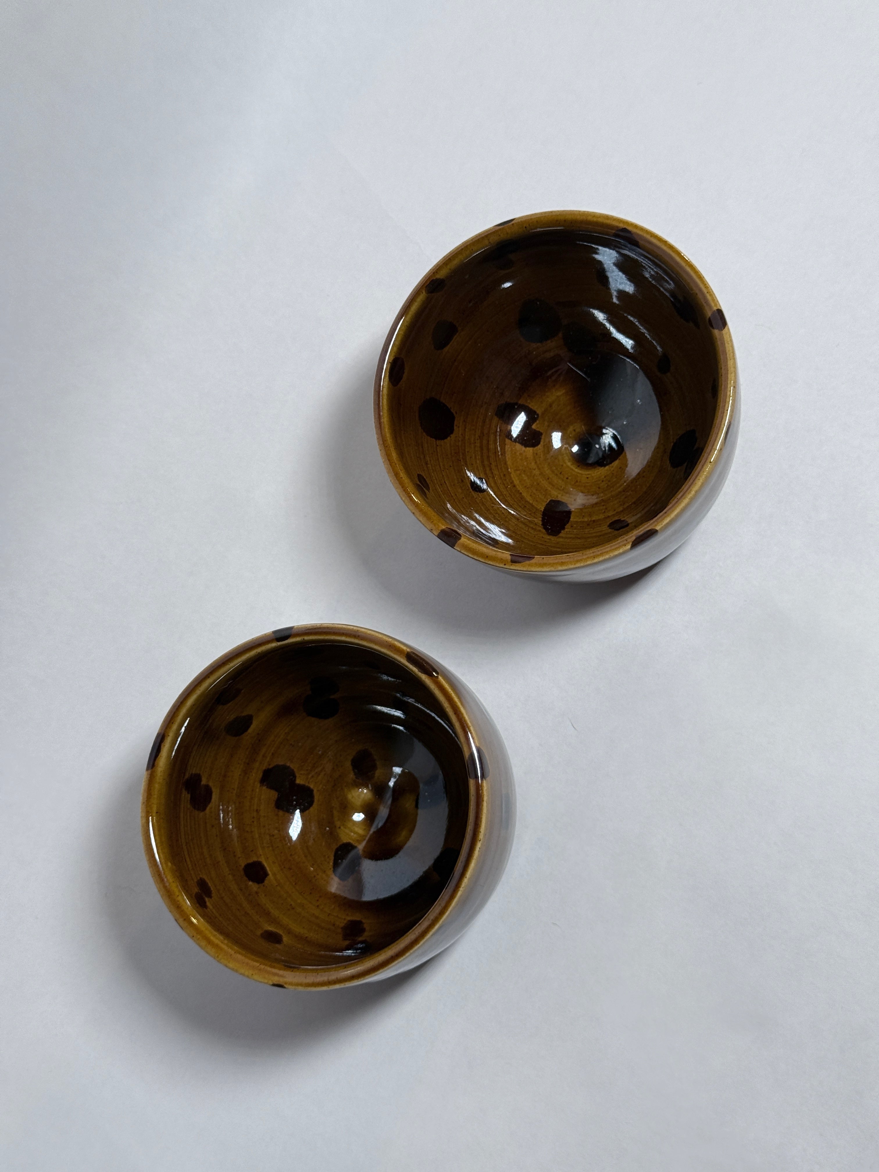 Tortoise Teacup Set of 2