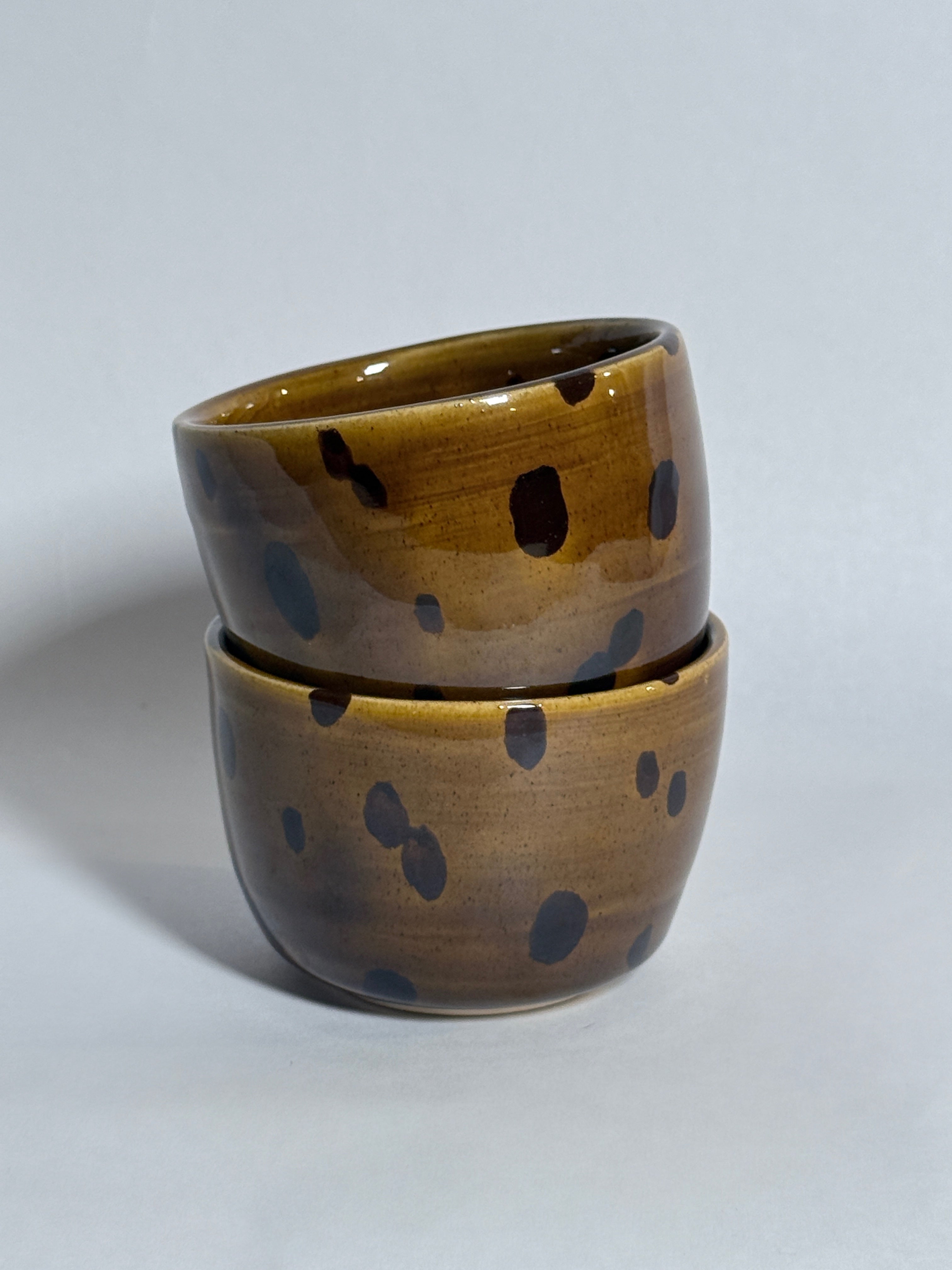 Tortoise Teacup Set of 2