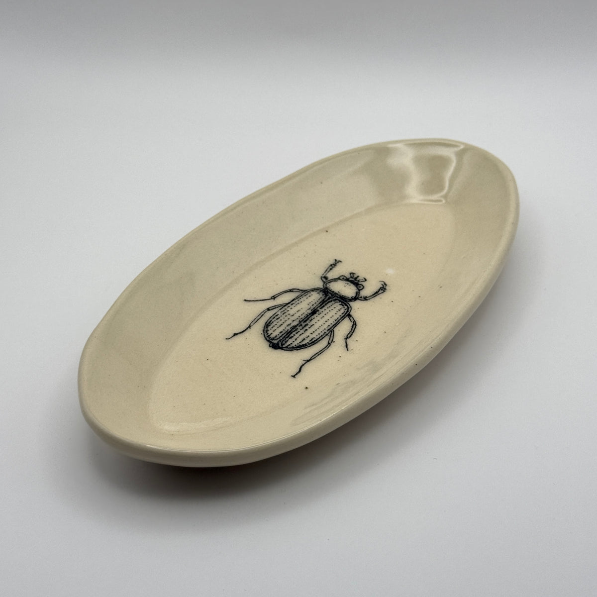 Bug Ring Dish