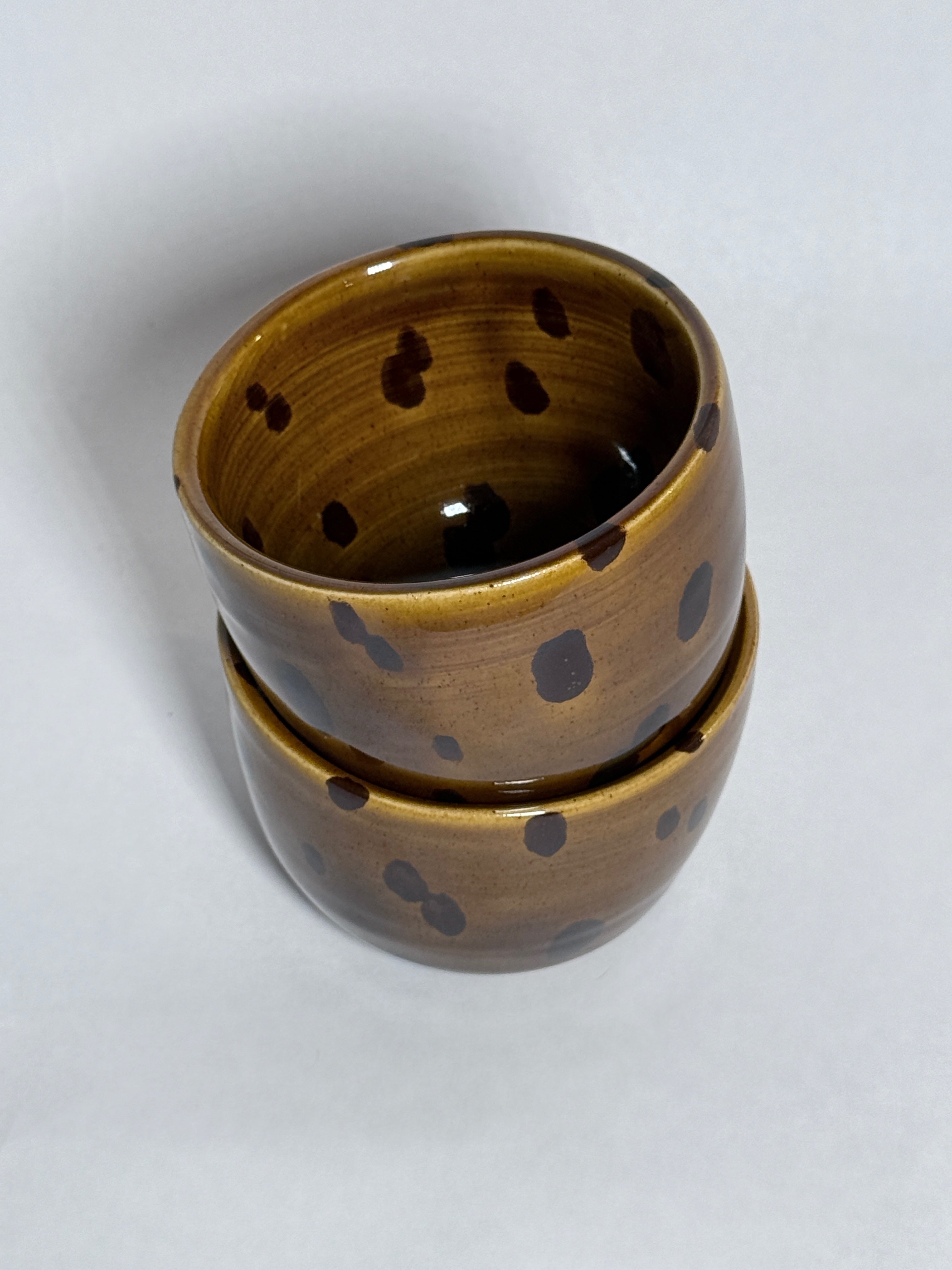 Tortoise Teacup Set of 2