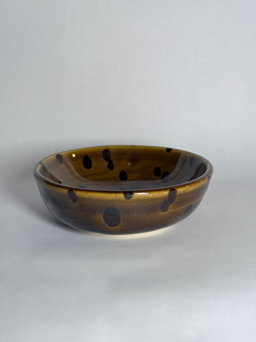 Tortoise Shell Trinket Dish #2