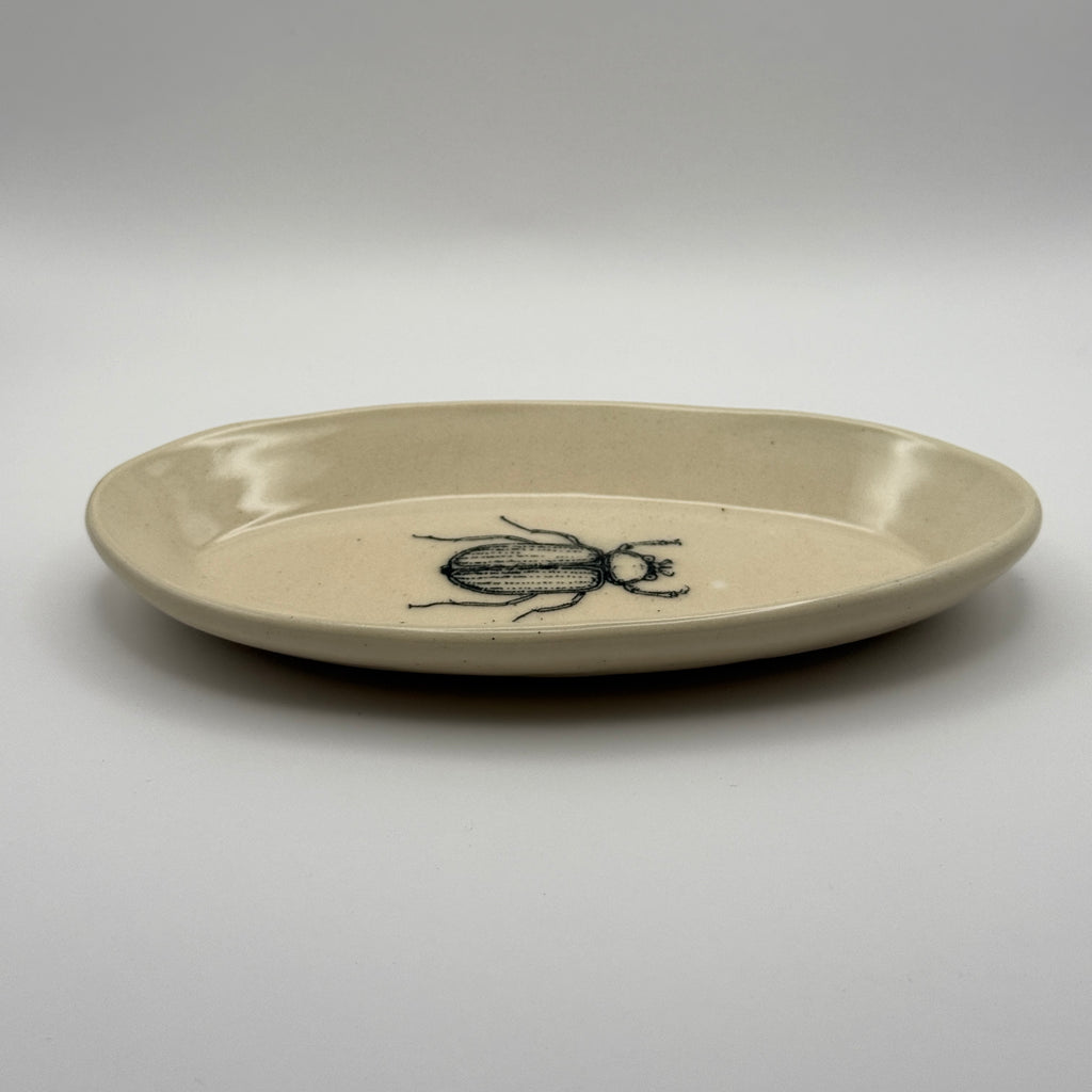 Bug Ring Dish